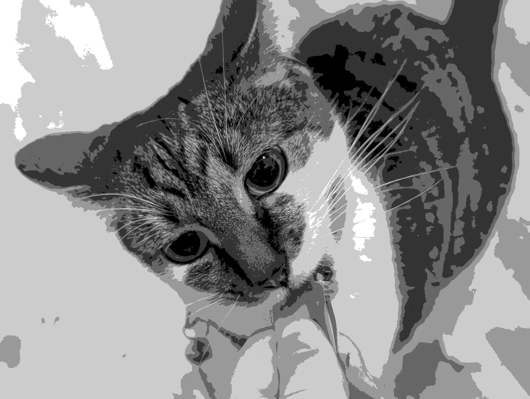 Posterize node example